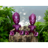 Groot